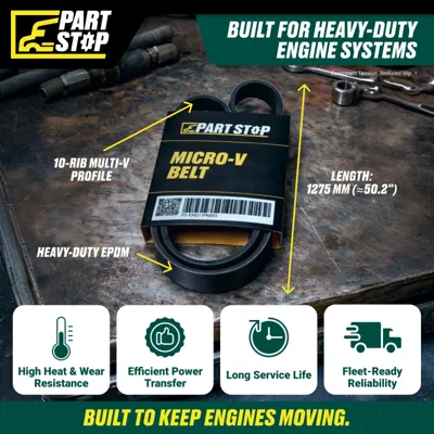 Serpentine 10-Rib Belt Fits Freightliner 01-24894-004 — infographic